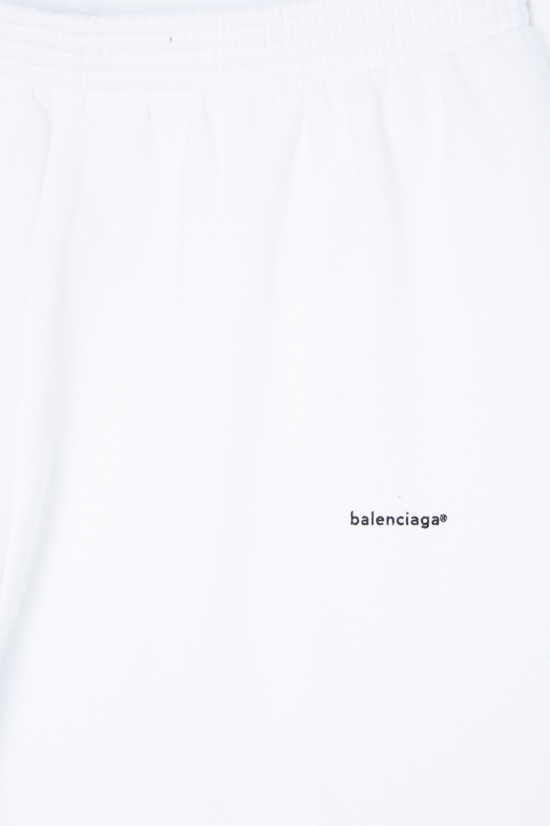 Брюки Balenciaga  –  530301 Брюки Модель Общий вид