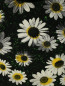 Платье-футляр с цветочным узором Moschino Cheap&Chic  –  Деталь