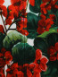 Толстовка хлопковая с цветочным узором Dolce & Gabbana  –  Деталь