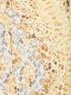 Брюки узкого кроя из фактурной ткани с узором Ermanno Scervino  –  Деталь