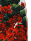 Брюки трикотажные с цветочным узором Dolce & Gabbana  –  Деталь