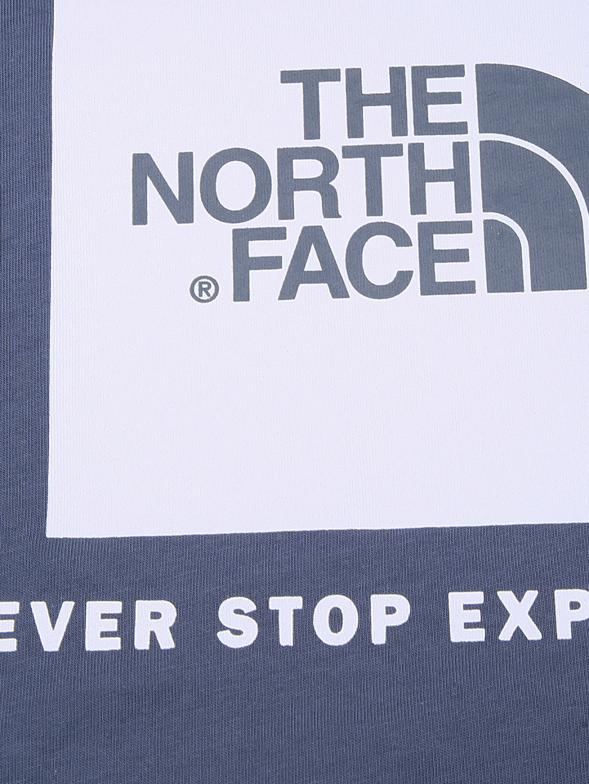 Футболка из хлопка с принтом THE NORTH FACE  –  Деталь  – Цвет:  Синий