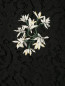 Юбка-миди из кружева с цветочным узором N21  –  Деталь