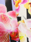 Платье-футляр из хлопка с цветочным узором Alberta Ferretti  –  Деталь
