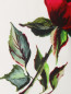 Юбка на резинке с цветочным узором Dolce & Gabbana  –  Деталь1