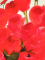 Туника из шелка с цветочным узором Marina Rinaldi  –  Деталь
