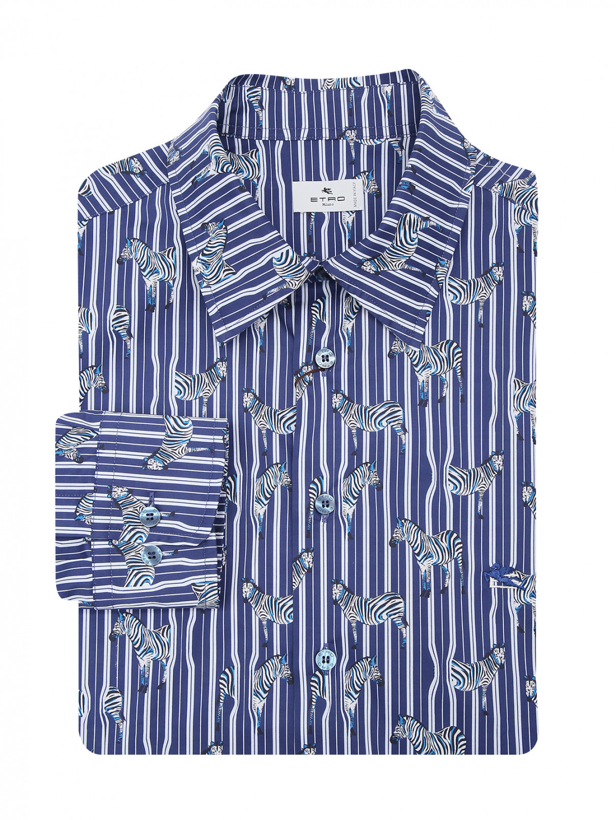 Рубашка из хлопка с узором полоска Etro  –  Общий вид  – Цвет:  Синий