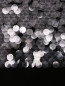 Джемпер из шерсти декорированный пайетками N21  –  Деталь1