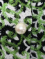 Пальто с узором и декоративными пуговицами Moschino Cheap&Chic  –  Деталь