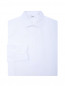 Рубашка из плотного хлопка LARDINI  –  Общий вид