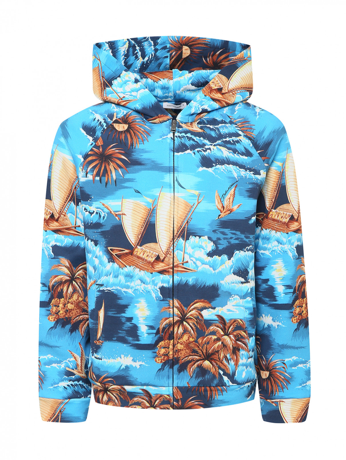 Толстовка с морским узором Dolce & Gabbana  –  Общий вид  – Цвет:  Узор