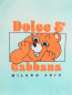 Шорты для плавания Dolce & Gabbana  –  Деталь