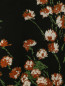 Джемпер с цветочным узором Rochas  –  Деталь
