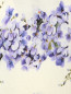 Джемпер из шелка с цветочным узором Giambattista Valli  –  Деталь1