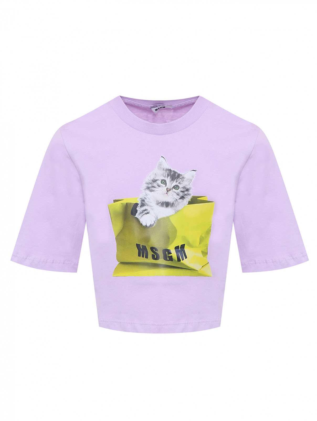 Укороченная хлопковая футболка MSGM  –  Общий вид  – Цвет:  Фиолетовый