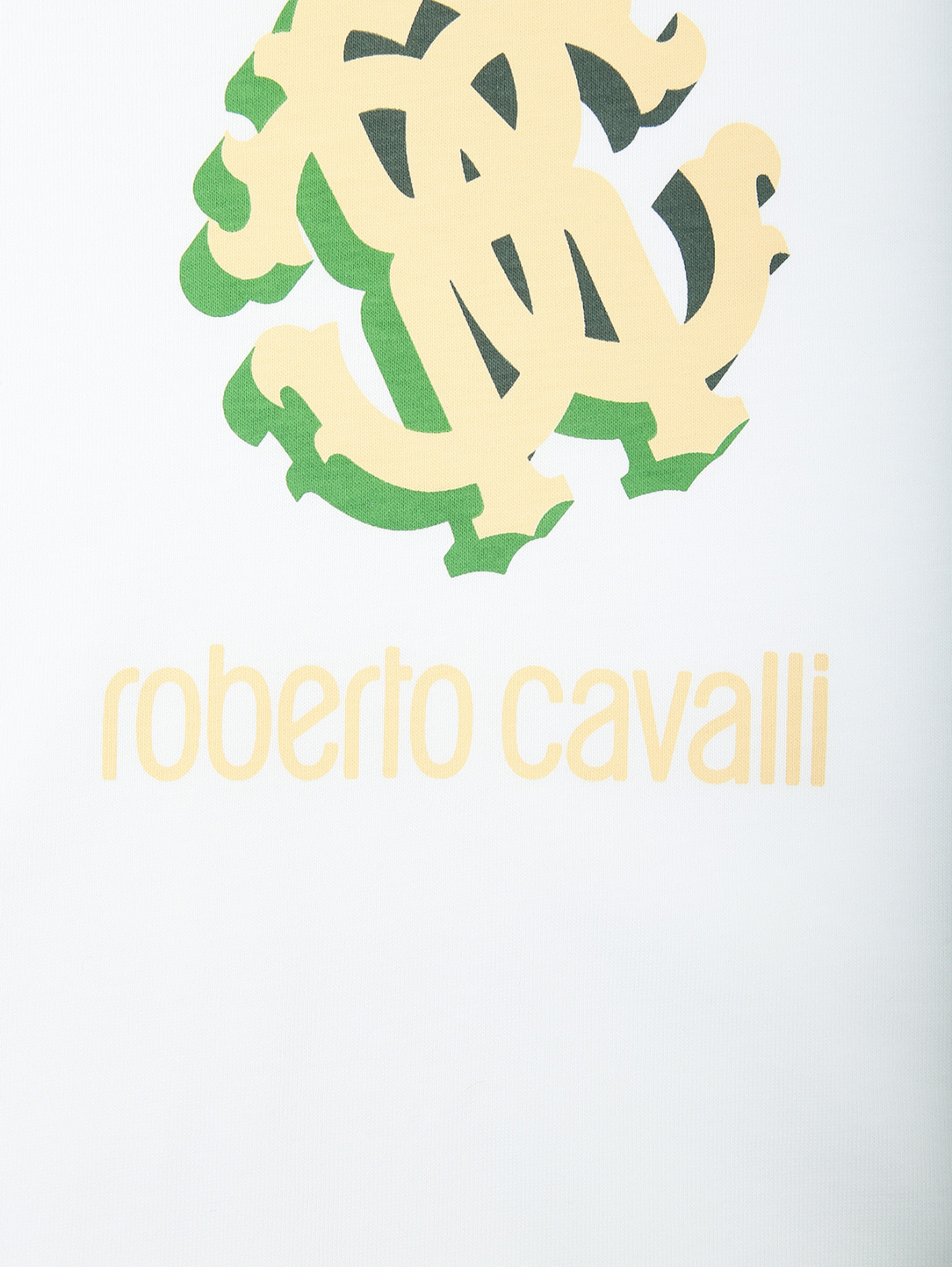 Хлопковая футболка с принтом Roberto Cavalli  –  Деталь  – Цвет:  Белый