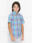 Хлопковая рубашка в клетку Ralph Lauren  –  МодельВерхНиз