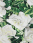 Жакет с цветочным узором Moncler  –  Деталь