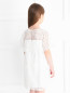 Платье из хлопка с узором Chloe  –  Модель Верх-Низ1