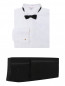 Комплект - костюм, галстук-бабочка, рубашка из хлопка Aletta  –  Общий вид