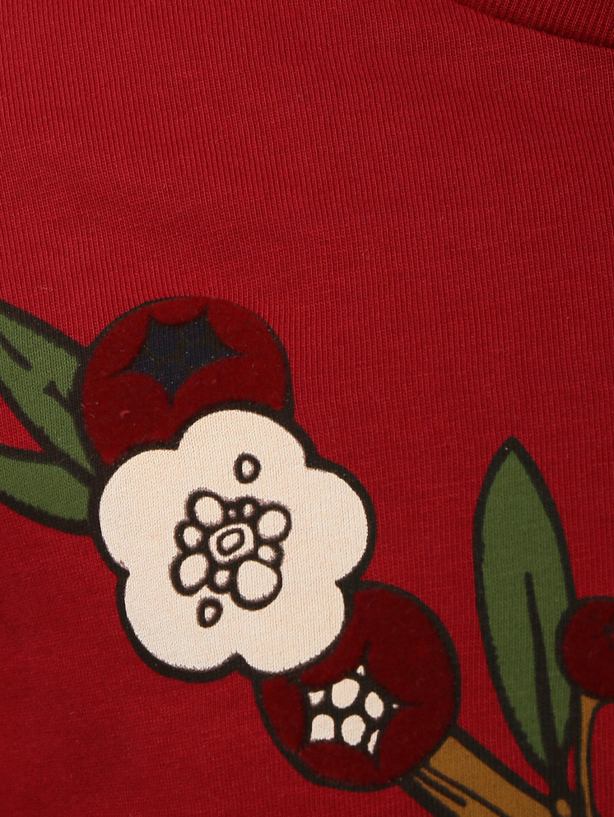 Водолазка из хлопка с цветочным принтом BOSCO  –  Деталь  – Цвет:  Красный