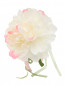 Ободок с декоративным цветком Aletta  –  Общий вид