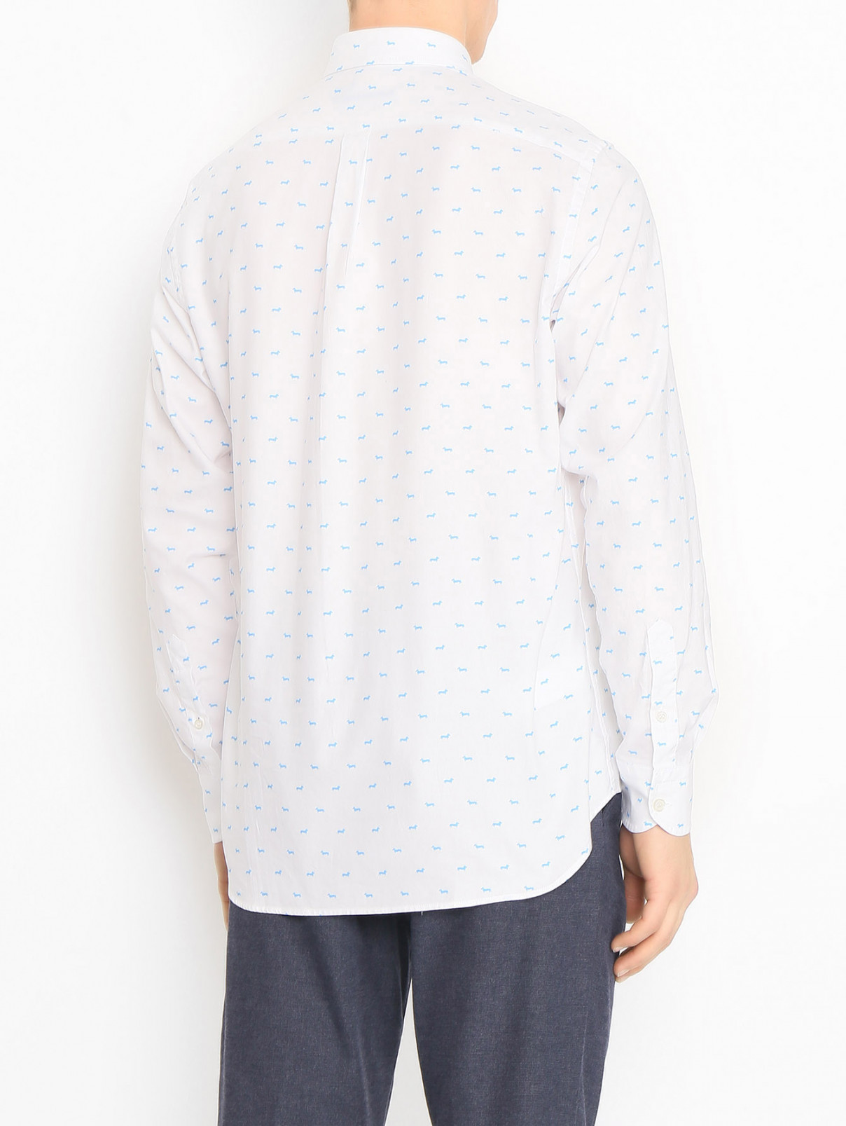Рубашка из плотного хлопка Harmont & Blaine  –  МодельВерхНиз1  – Цвет:  Белый
