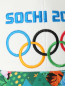 Бейсболка Sochi 2014  –  Деталь