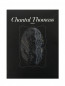 Чулки с кружевной отделкой Chantal Thomass  –  Общий вид