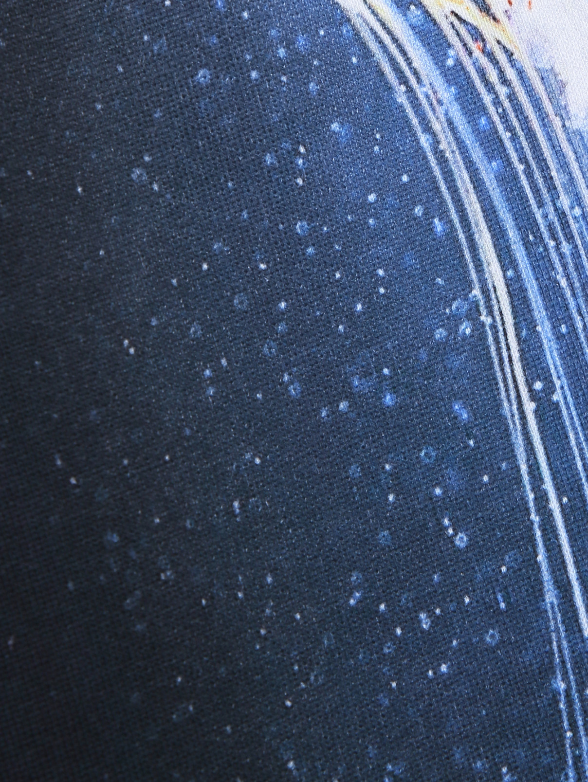 Свитшот из хлопка с принтом Frankie Morello  –  Деталь  – Цвет:  Синий