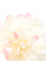 Ободок с декоративным цветком Aletta  –  Деталь
