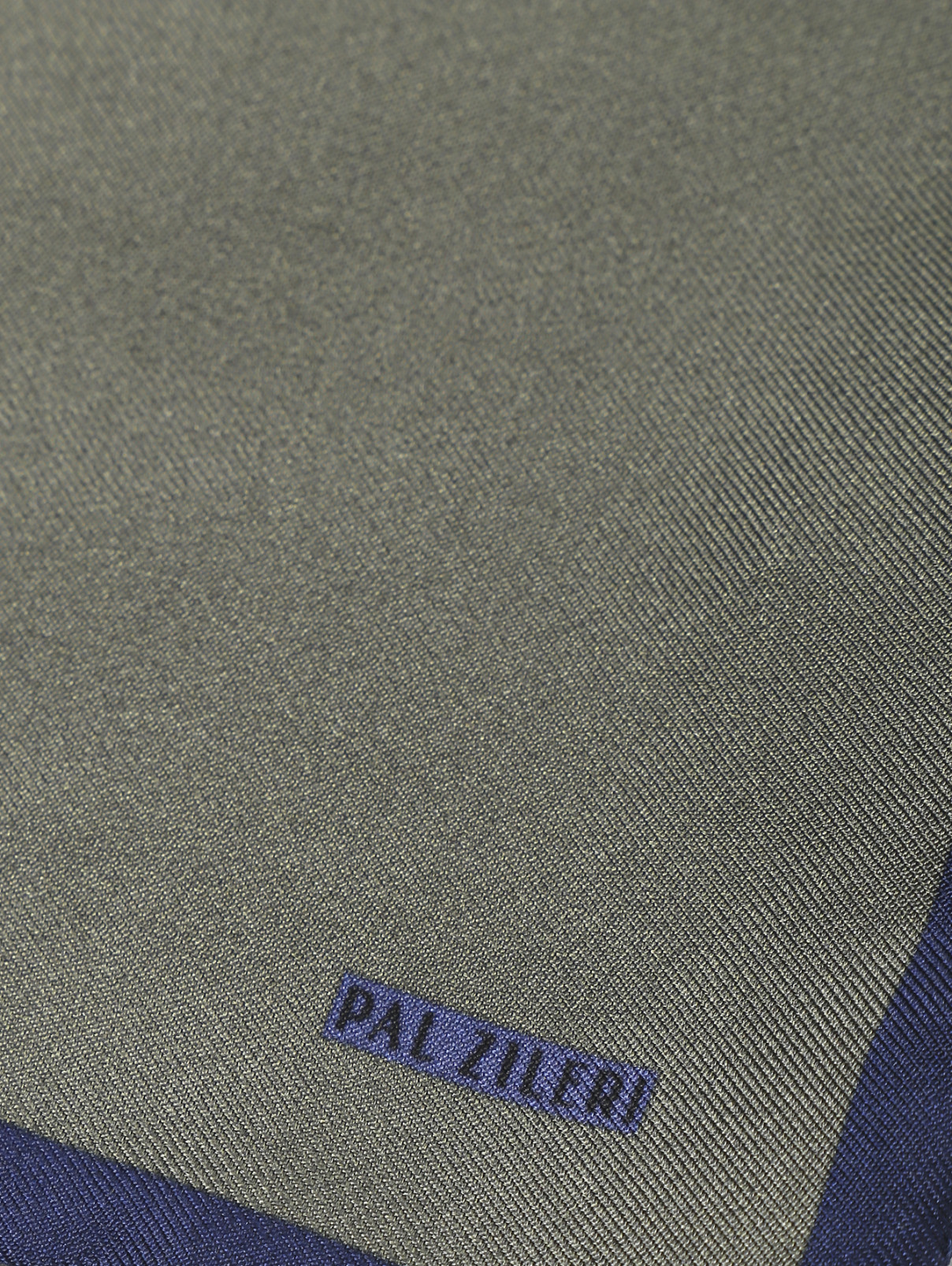 Платок из шелка Pal Zileri  –  Деталь  – Цвет:  Зеленый