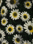 Платье-мини с цветочным узором Moschino Cheap&Chic  –  Деталь