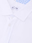 Однотонная рубашка из хлопка Aletta Couture  –  Деталь