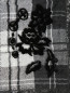 Юбка из шерсти и хлопка с кружевной и полупрозрачной вставкой Ermanno Scervino  –  Деталь
