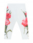 Трикотажные леггинсы с цветочным узором Dolce & Gabbana  –  Общий вид