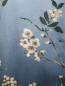 Блуза из шелка с цветочным узором S Max Mara  –  Деталь1