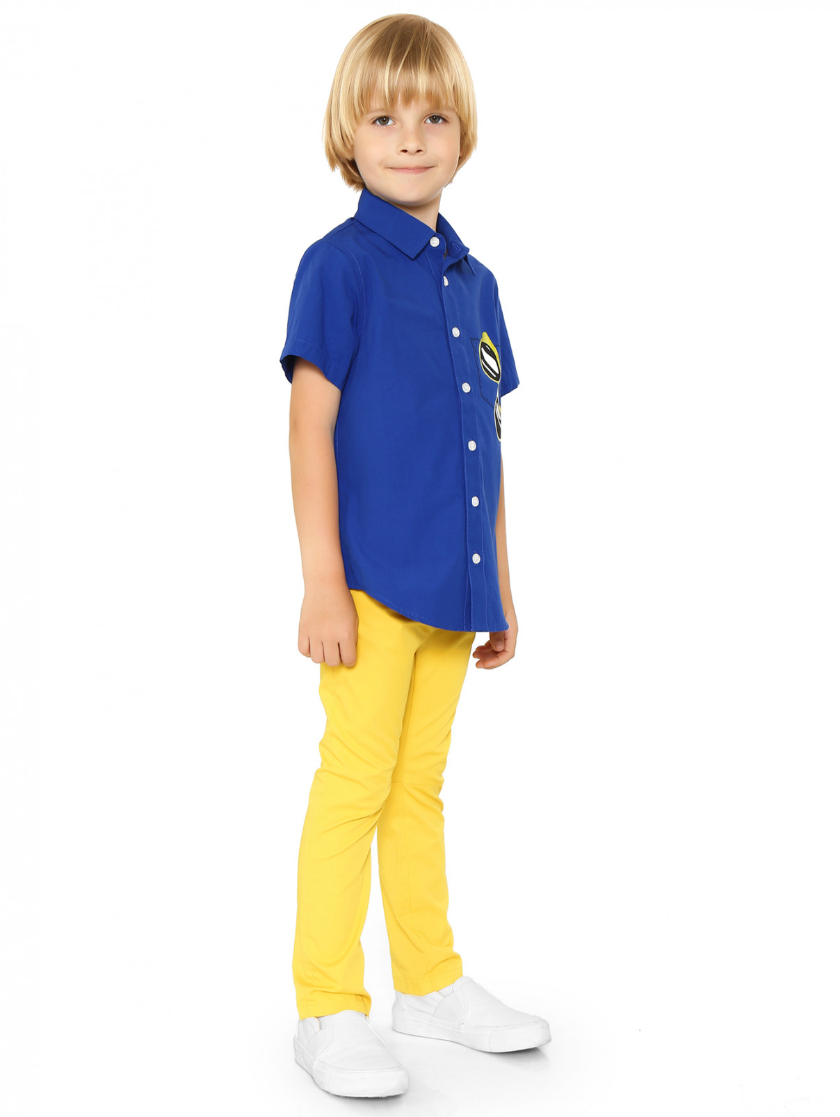 Рубашка из хлопка с принтом Moschino  –  Модель Общий вид  – Цвет:  Синий